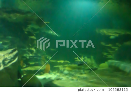 Underwater ocean abstract blur for background Underwater ocean abstract blur for background 102368113