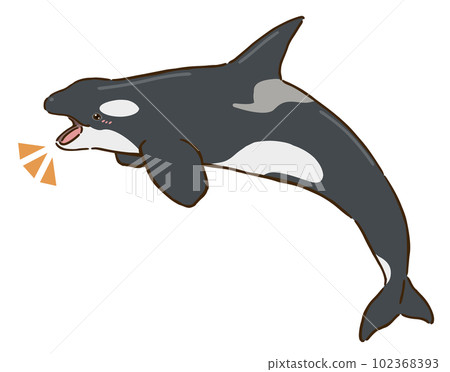 happy killer whale 102368393