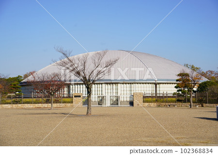 大濱公園相撲場（大阪府堺市） 102368834