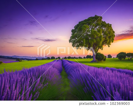 Beautiful lavender meadow scenery the last of the summer's trees. Generative AI. 102369003