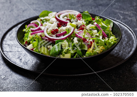 Green Salad with Apple, Cheese, Cranberry in bowl 102370503