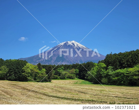 初夏的富士風光 102371021