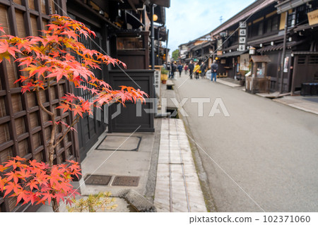 Takayama City, Gifu Prefecture The old townscape of Hida Takayama with its beautiful autumn maple leaves Takayama City, Gifu Prefecture The old townscape of Hida Takayama with its beautiful autumn maple leaves 102371060