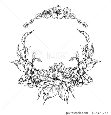 Hand drawn ink apple flowers, branches and leaves, monochrome vector, detailed outline blossom Circle round wreath Isolated on white background Design for wall art, wedding, print, fabric, cover card. Hand drawn ink apple flowers, branches and leaves, monochrome vector, detailed outline blossom Circle round wreath Isolated on white background Design for wall art, wedding, print, fabric, cover card. 102371244