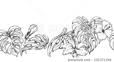 Hand drawn vector ink exotic monstera leaves and hibiscus. Seamless horizontal banner. Isolated on white background. Design for wall art, wedding, print, fabric, cover, card, tourism, travel booklet. Hand drawn vector ink exotic monstera leaves and hibiscus. Seamless horizontal banner. Isolated on white background. Design for wall art, wedding, print, fabric, cover, card, tourism, travel booklet. 102371248