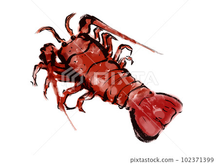 手繪日本風格插畫的龍蝦 手繪日本風格插畫的龍蝦 102371399
