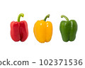 Paprika is a cultivar of the species Capsicum annuum paprika yield different colors, including red, yellow, orange and green peppers are sometimes grouped with less pungent pepper called sweet peppers 102371536
