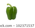 Green paprika (pepper) isolated on a white background 102371537