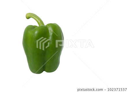 Green paprika (pepper) isolated on a white background 102371537