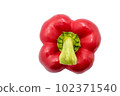 Red bell pepper, paprika isolated on white background 102371540