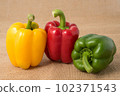 Ripe vibrant colorful peppers on sackcloth 102371543