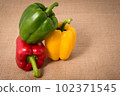 Ripe vibrant colorful peppers on sackcloth 102371545