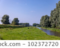 Cattle lie relaxed in a meadow next to a train track in Sassenheim the Netherlands. 102372720