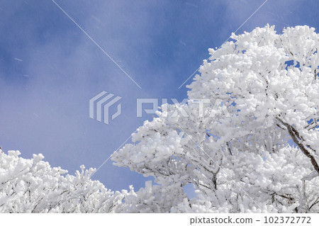 Mt. Gozaisho with snow covered trees Mt. Gozaisho with snow covered trees 102372772