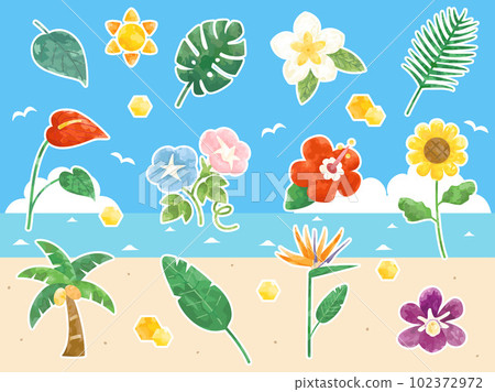 夏季花卉、植物和葉子（如向日葵和芙蓉）的插圖集，帶有白色邊框的版本 102372972