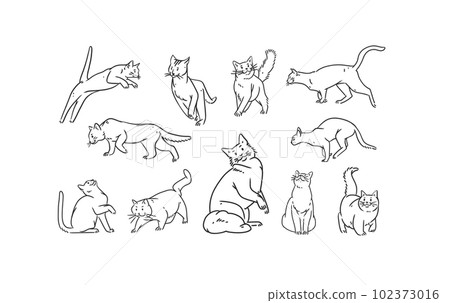 Hand drawn vector abstract graphic line art collection set with adorable cute cartoon cats character.Vector illustration of funny cartoon outline cat in trendy line style. Drawing line art cats icons. Hand drawn vector abstract graphic line art collection set with adorable cute cartoon cats character.Vector illustration of funny cartoon outline cat in trendy line style. Drawing line art cats icons. 102373016