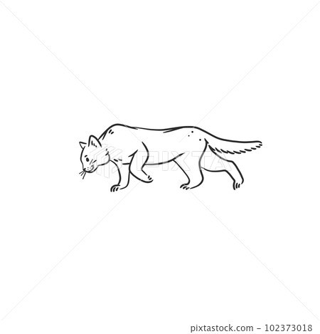 Hand drawn vector abstract graphic line art collection with adorable cute funny cartoon cat character.Vector illustration of funny cartoon outline cat in trendy line style. Drawing line art cat icon. 102373018