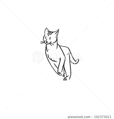 Hand drawn vector abstract graphic line art collection with adorable cute funny cartoon cat character.Vector illustration of funny cartoon outline cat in trendy line style. Drawing line art cat icon. 102373021