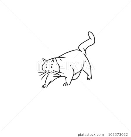 Hand drawn vector abstract graphic line art collection with adorable cute funny cartoon cat character.Vector illustration of funny cartoon outline cat in trendy line style. Drawing line art cat icon. Hand drawn vector abstract graphic line art collection with adorable cute funny cartoon cat character.Vector illustration of funny cartoon outline cat in trendy line style. Drawing line art cat icon. 102373022