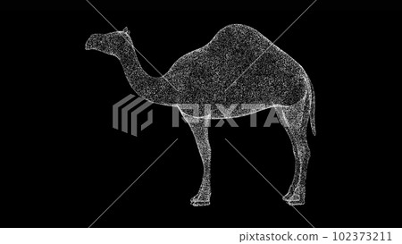 3D camel on black bg. Object dissolved white flickering particles. Business advertising backdrop. Science concept. For title, text, presentation. 3D animation. 3D camel on black bg. Object dissolved white flickering particles. Business advertising backdrop. Science concept. For title, text, presentation. 3D animation. 102373211