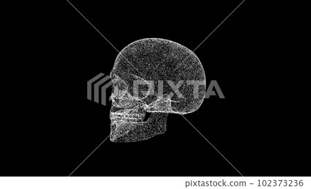 3D human skull on black background. Object dissolved white flickering particles. Science concept. Abstract bg for title, presentation. Holographic screensaver. 3D animation 3D human skull on black background. Object dissolved white flickering particles. Science concept. Abstract bg for title, presentation. Holographic screensaver. 3D animation 102373236