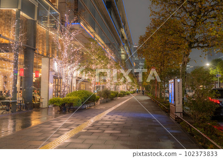 “東京”丸之內冬季燈飾“雨天” 102373833