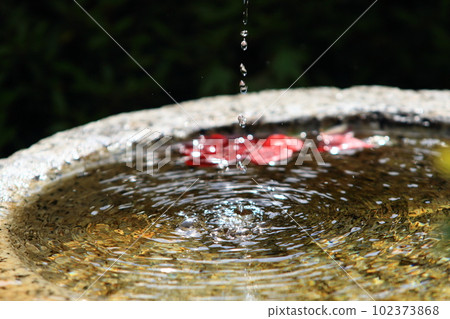 Water droplets falling into the water bowl Water droplets falling into the water bowl 102373868