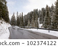 Winding mountain road between the pine trees in Muhlbach am Hochkonig in Austria. 102374122