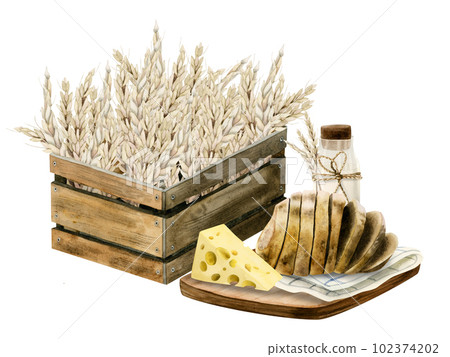 Watercolor rural farm composition for Jewish Shavuot wooden box of wheat harvest, cheese, bread, milk. Illustration 102374202