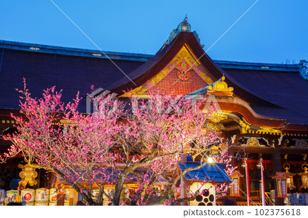 Kitano Tenmangu plum Kitano Tenmangu plum 102375618