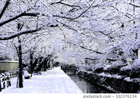 哲學之路雪景 102376134