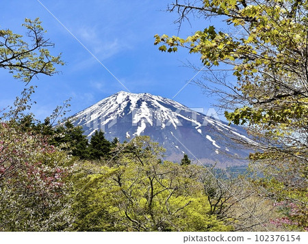 Mt.Fuji and mountain scenery in late spring 102376154