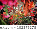 七彩花朵 102376278