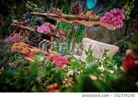 梯子和綠色 102376280