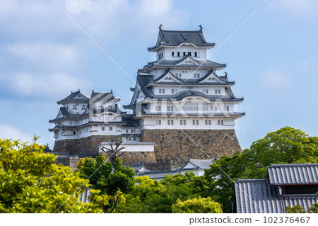 A fresh green Himeji castle A fresh green Himeji castle 102376467