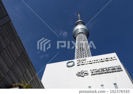 The sky tree soaring comfortably in the blue sky The sky tree soaring comfortably in the blue sky 102376585