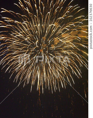 Fireworks 102376630