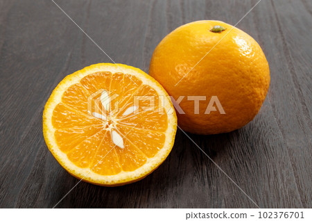 new summer orange 102376701