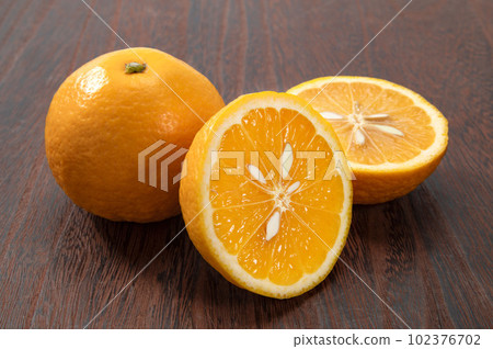 new summer orange 102376702