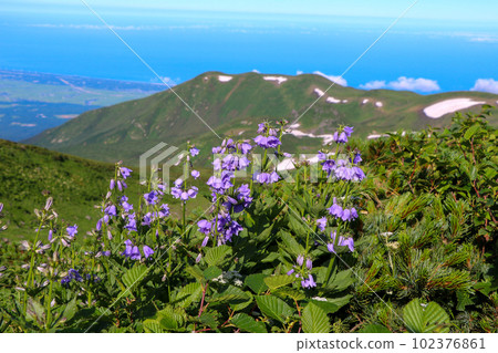 Chokai mountain climbing trail flowers and mountain ranges and the Sea of Japan 102376861