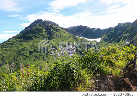 The summit of Mt. Chokai seen from the mountain trail and the flowers of Hakusanshajin 102376862