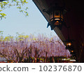 Wisteria trellis and Japanese lights 102376870