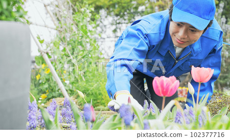 A male worker who manages a flower garden 102377716