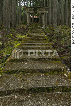 Mossy stone steps leading to the torii gate and main building of Kamo Shrine in the woods of Ukyo Ward, Kyoto City, Kyoto Prefecture, Japan 102378329