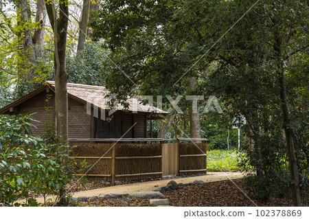 Tadasu no Mori near Shimogamo Shrine in Kyoto City, Kyoto Prefecture, Japan 102378869