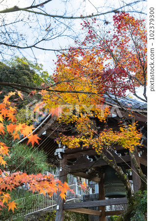 日本京都府京都市 Eikando Zenrinji 寺的鐘樓和秋葉 日本京都府京都市 Eikando Zenrinji 寺的鐘樓和秋葉 102379300