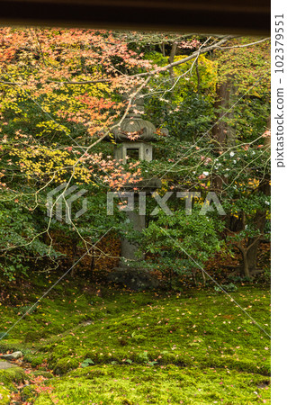 日本京都府京都市 Ruri 花園和 Rurikoin 寺秋葉 102379551