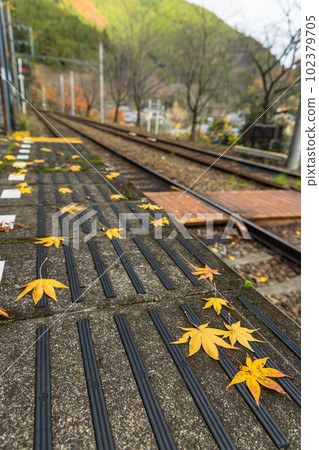 從穿過日本京都府京都市的睿山電鐵鞍馬線二之瀨站看到的鐵軌和秋葉 102379705