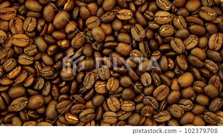 手選咖啡豆 手選咖啡豆 102379708