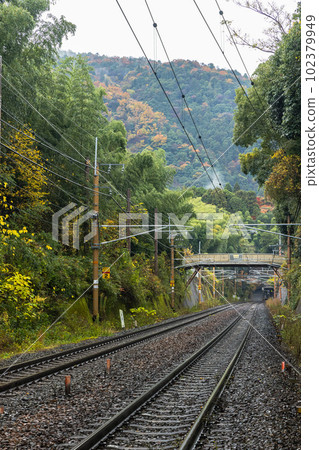 Sagano Line track in Saga-Arashiyama, Kyoto City, Kyoto Prefecture, Japan 102379949